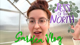 Cloches and Chores in my Zone 4 Greenhouse | Vlog