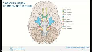 Вебианр МРО РОРР: Изменения мозговых оболочек от синдрома к диагнозу