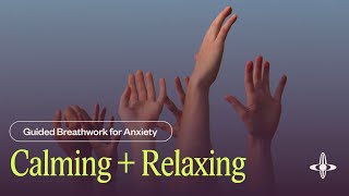 Calming & Relaxing | Guided Breathwork (5 minutes)