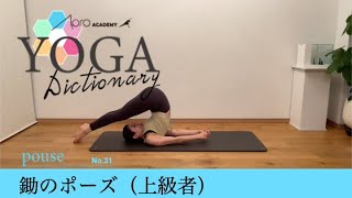 【YOGA Dictionary】No.31 鋤のポーズ(ハラ・アーサナ)　上級者編