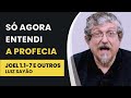 Só Agora Entendi a Profecia - Joel 1.1-7 e outros | Luiz Sayão | IBNU