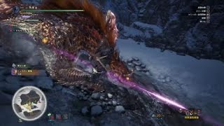 [MHWI] トビカガチ亜種　最小金冠1157.46