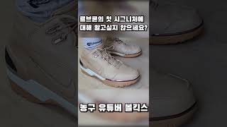 르브론의 첫 농구화, 에어 줌 제네레이션 1.