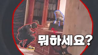 뒤에서 세계1등의 미친아마루 플레이[레식 웃긴 영상]