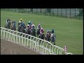 20200829 hollywoodbets greyville express clip race 10 won by running brave