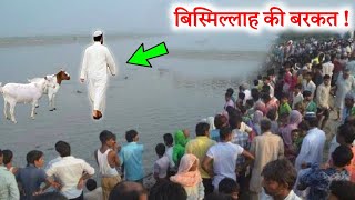 Bismillah Ki Barkat Aur Aik Charwaha Ka Waqia || बिस्मिल्लाह की बरकत और चरवाहा का वाकिया