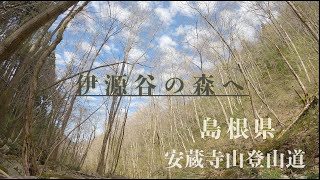 【島根県】伊源谷の森へ…ジムニーで行く林道ツーリングとトレッキング♪【ジムニー】【登山】【トレッキング】【安蔵寺山】【ヤマノネ】