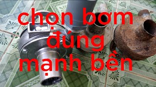 chia sẽ kinh nghiệm chọn bơm nước mạnh, bền.#water #agriculture #caygiong #tutorial