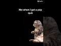 When I get a pop quiz #funny #shorts