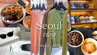 〔韓国vlog〕2025.1 🇰🇷冬の韓国旅行❄️2泊3日｜女子旅｜グルメ｜メイク💄｜買い物｜美容｜眉アート