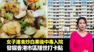 東張西望｜女子進食炒白果後中毒入院｜發掘香港市區隱世打卡點｜介紹斧頭扒烹調方法｜朱凱婷 陳庭欣 區永權 朱智賢