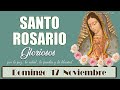 🛡️ ROSARIO por la paz, la familia, la salud y la libertad 🌿 Gloriosos🌿 Hoy domingo 17 noviembre 2024