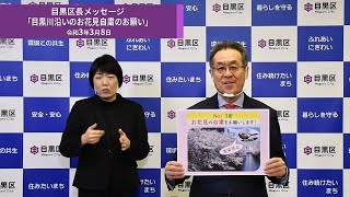 目黒区長メッセージ「目黒川沿いのお花見自粛のお願い」（令和3年3月8日）