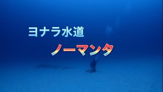 ヨナラ水道ドリフトダイビング・ノーマンタ！