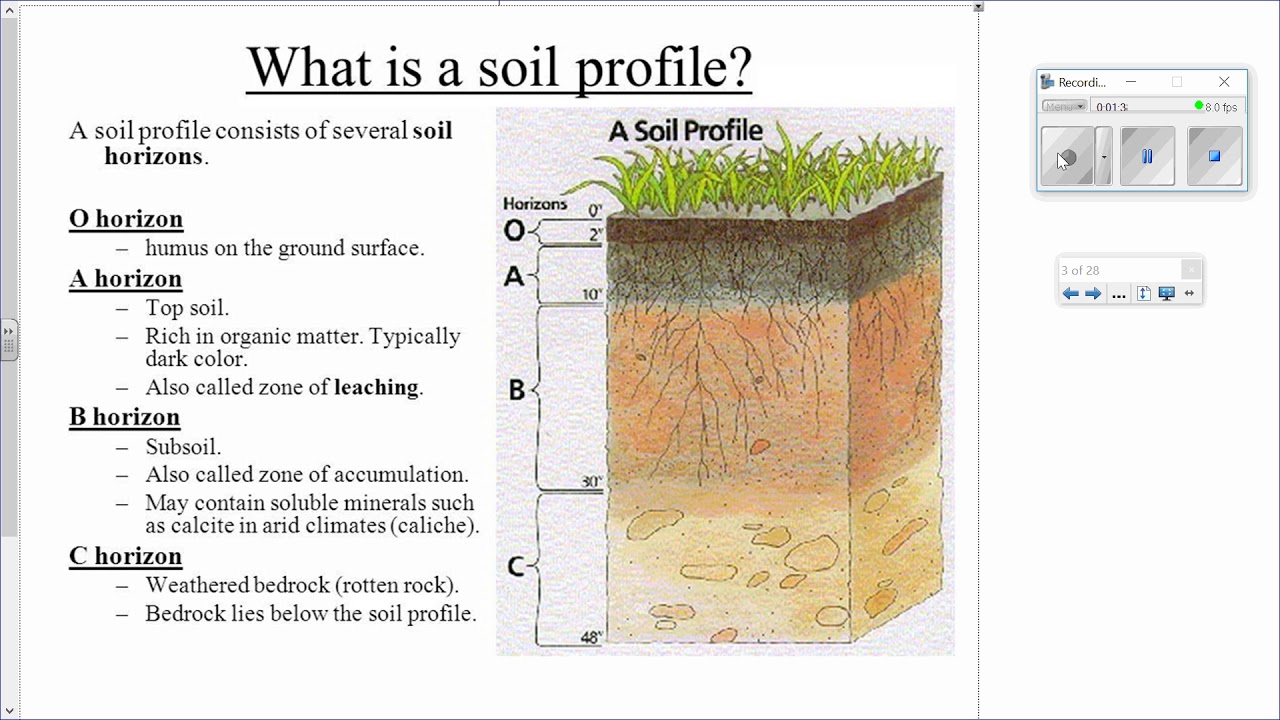 Soil Horizons