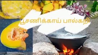 சுவையான பூசணிக்காய் பால் கறி செய்வது எப்படி  | எனது சமையறை