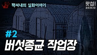 [실화장편] 퍅셔내의 실화이야기 - 버섯 종균 작업장 #02｜왓섭! 공포라디오