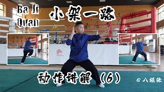 Baji Quan Beginner Breakdown6【Chinese Martial Arts/Kung Fu】Tutorial Session3 Form1: 八极拳教学 小架一路 动作讲解6