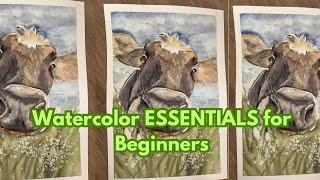 Watercolor ESSENTIALS for Beginners | Techniques and Color Choice