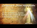 coronilla a la divina misericordia para todos los días✝️