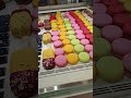 chocolate counter