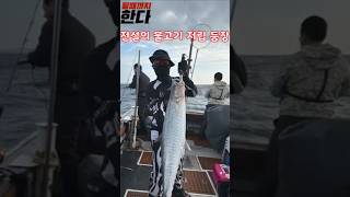 전설의 물고기의 등장 저립(a legendary fish) #shorts