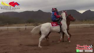 EL COMANDANTE VS EL BABY EN 150MTS EN TASTE DE BACANORA, SONORA