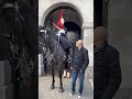 sir out of the white line then he’s looking up tourist horse royalguards history highlights