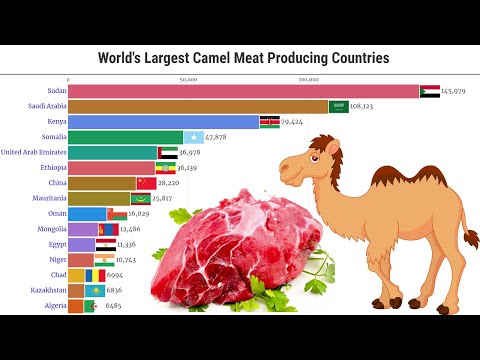 What countries eat camel?