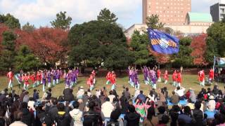 2013おどるんや秋祭り　和歌山MOVE