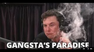 Elon Musk  I Dont Ever Give Up  Gangstas Paradise