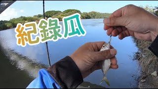 【夯魚癡】釣到紀錄瓜