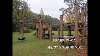 【閲覧注意！】怪奇現象！公園のブランコが揺れている、、、、