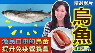 【健康好生活 超精彩回顧】漁民口中的烏金！肥美「烏魚」提升免疫營養豐 /// 烏魚子挑選  香烤烏魚子   麻油薑汁烏魚鍋   烏魚子燉飯