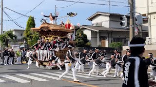 令和5年(2023)5月4日 宮本町だんじり大修理入魂式 完成記念祝賀曳行