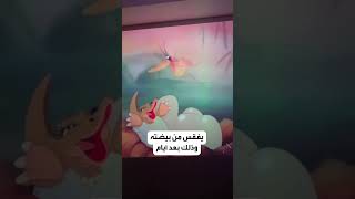 ماما هايلي  تعود لإنستغرام