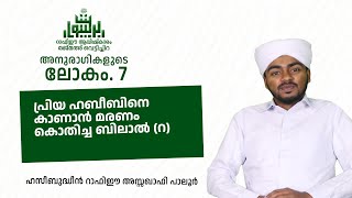 #Baithurasool ﷺ | DAY 07 | അനുരാഗികളുടെ ലോകം|ഹസീബുദ്ധീൻ  റാഫിഈ  അസ്സഖാഫി പാലൂർ |