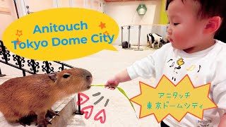 Anitouch Tokyo Dome City（アニタッチ 東京ドームシティ）