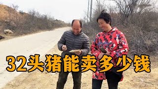 常输家又卖猪了，32大猪卖到吉利数，挣挣赔赔夫妻俩越说越高兴【农村傻大妮儿】