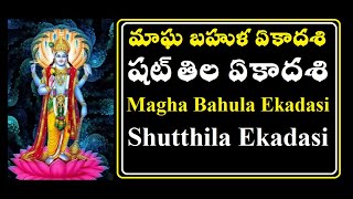 Shutthila Ekadasi || షట్ తిల ఏకాదశి || Magha Bahula Ekadasi || మాఘ బహుళ ఏకాదశి || 16th Ekadasi