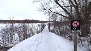 Ottawa - Mer Bleue Bog Trail 4K