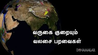 வருகை குறையும்  வலசை பறவைகள்