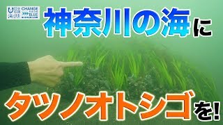 海さくら 海創造プロジェクト 日本財団 海と日本PROJECT in かながわ 2019 #01