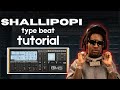 Making Amapiano beats for Shallipopi in FL Studio with stock plugin tutorial