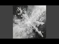 VISION (Slowed)