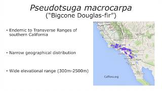 Climate-growth sensitivity of Bigcone Douglas Fir