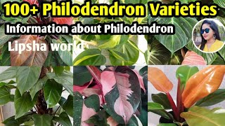 100+ Philodendron Plants varieties |  Philodendron Plants varieties+identificati