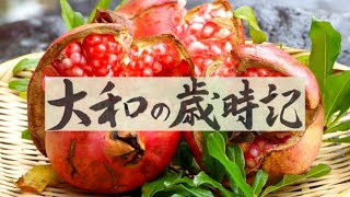 【大和の歳時記】第17回は「寒露」〜「二十四節気」を中心に日本の伝統や文化についてお伝えします〜