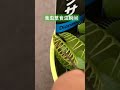 venus flytrap 捕蝇草捕虫瞬间