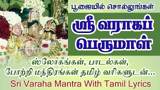 ஸ்ரீ வராஹ பெருமாள் ஸ்லோகம், பாடல்கள்  தமிழ் வரிகளுடன் Sri Varahaperumal @DhinamDhinam